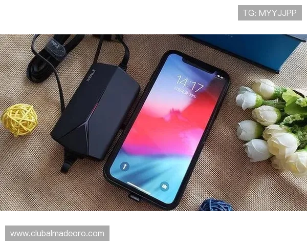 鼎尚娱乐城手机端登录与操作指南方便玩家随时随地畅玩游戏