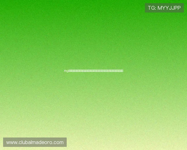 mg电子娱乐游戏检测平台为世界杯期间体育竞猜平台提供全面风险监控与安全保障